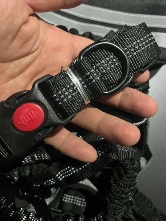 Elastic bungee section on a hands-free dog leash to absorb pulling force and protect the owner’s back.