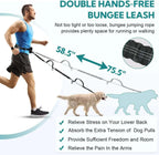 Premium hands-free  dog leash with tangle-free design for walking two dogs at once.